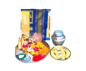 Abhishek Puja 6 var saree